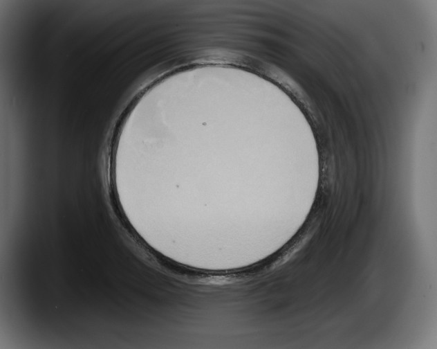 X0000087521130200705251634