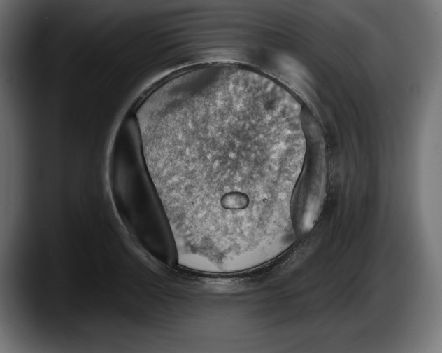 X0000087521132200705251634