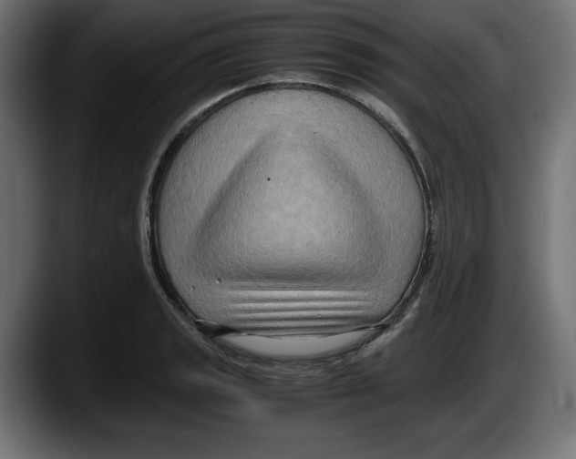 X0000087521133200705251634