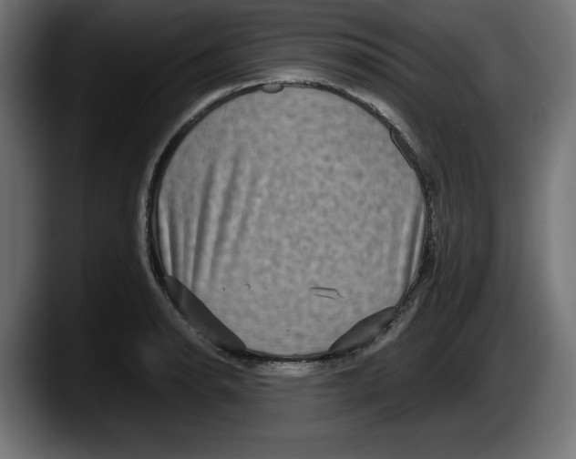 X0000087521134200705251634