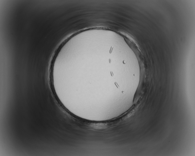 X0000087521135200705251634