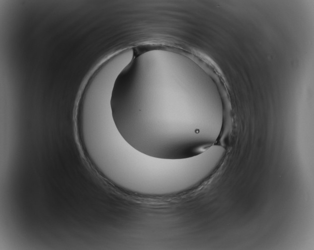 X0000087521138200705251634