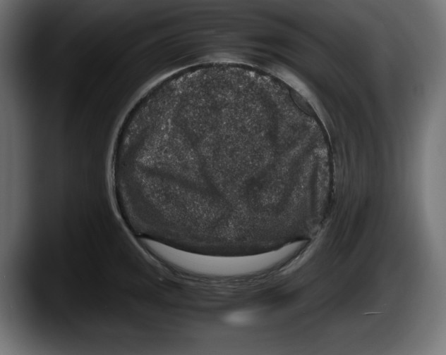 X0000087521141200705251634