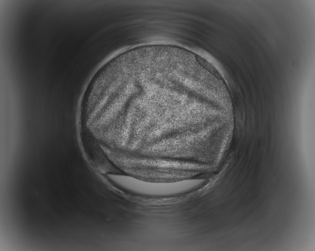 X0000087521142200705251634