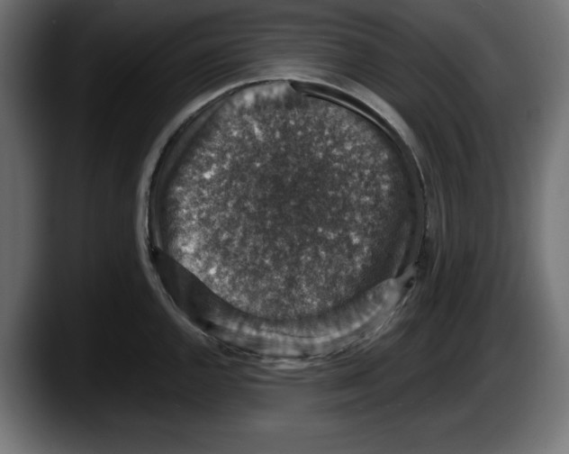 X0000087521144200705251634