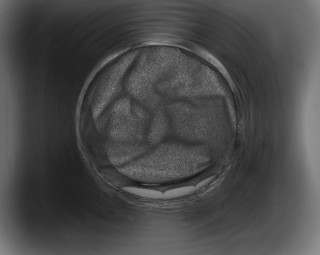 X0000087521146200705251634