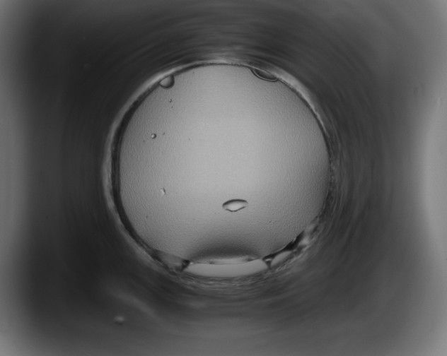 X0000087521147200705251634