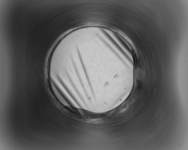 X0000087521148200705251634