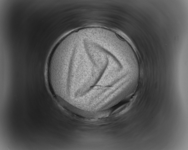 X0000087521149200705251634