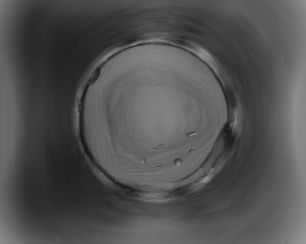 X0000087521151200705251634