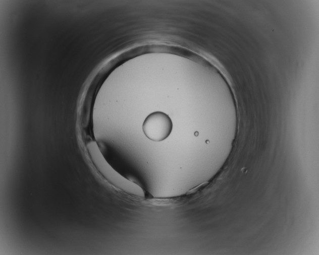 X0000087521152200705251634