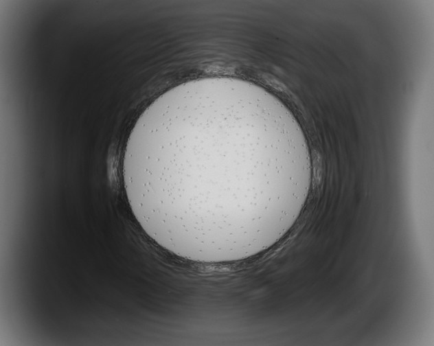 X0000087521154200705251633