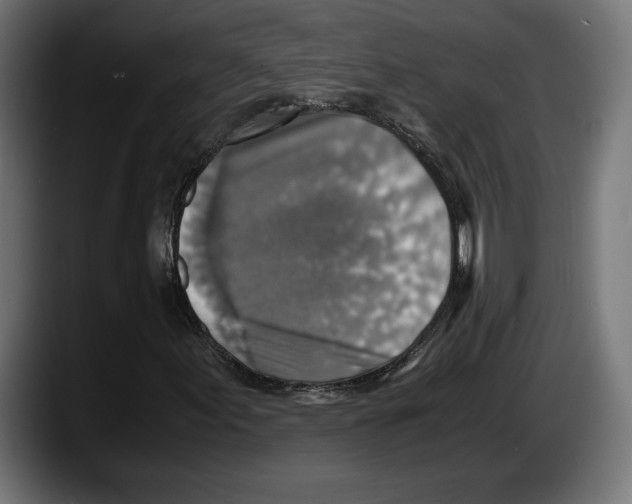 X0000087521155200705251633