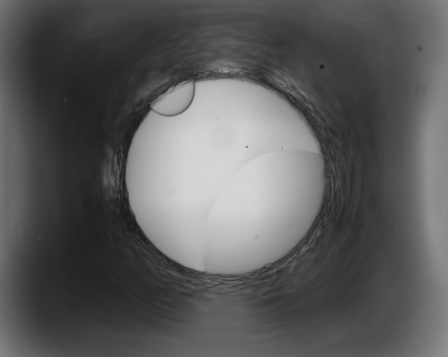 X0000087521158200705251633