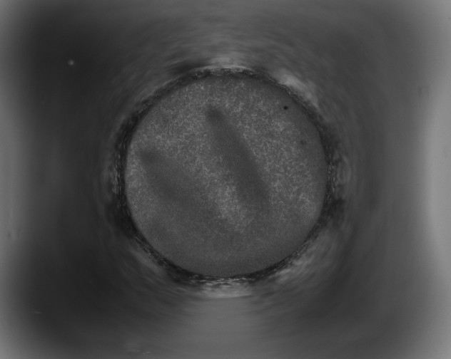 X0000087521159200705251633