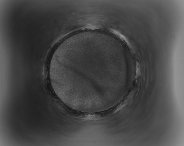 X0000087521160200705251633