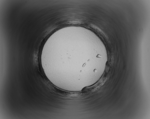 X0000087521162200705251633