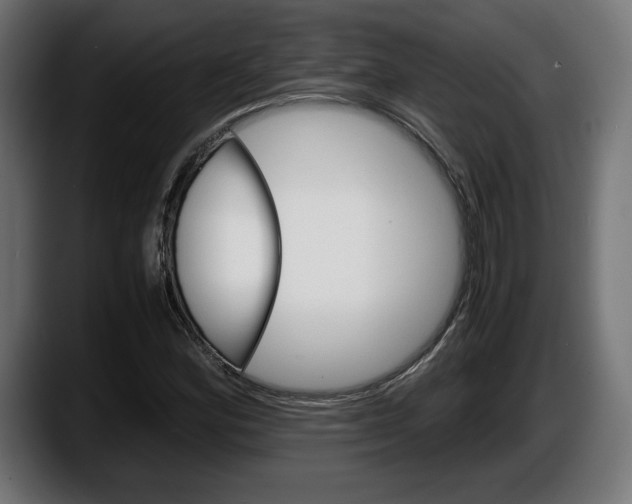 X0000087521164200705251633