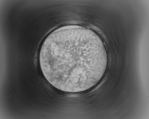 X0000087521170200705251633