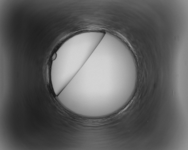 X0000087521171200705251633