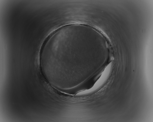 X0000087521173200705251633