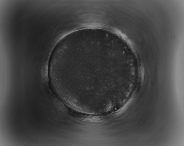 X0000087521174200705251633