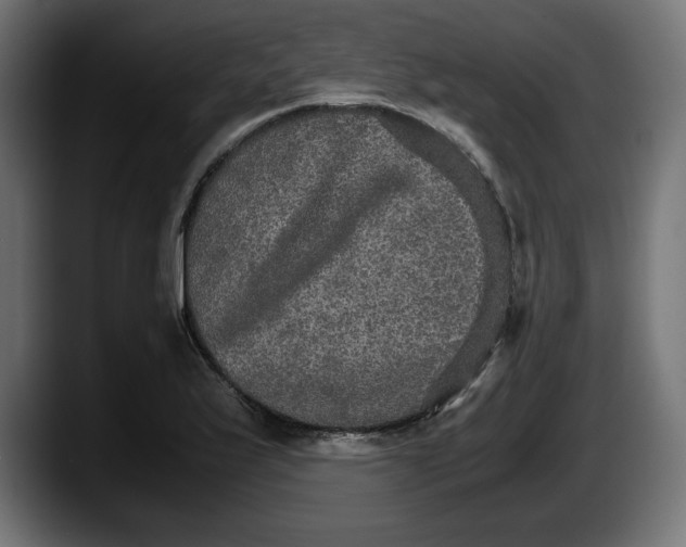 X0000087521175200705251633