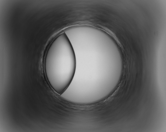 X0000087521176200705251633