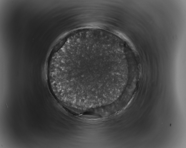 X0000087521180200705251633