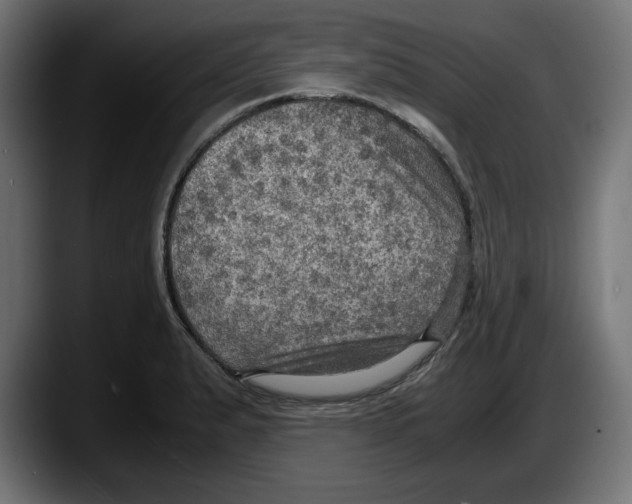 X0000087521183200705251633