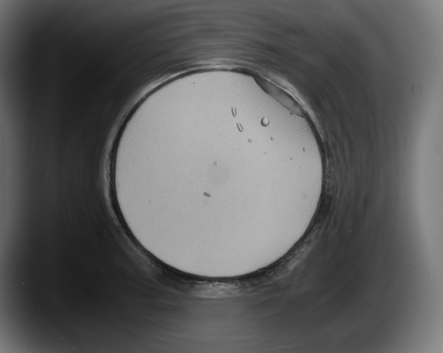 X0000087521187200705251633