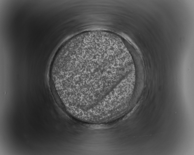 X0000087521189200705251633