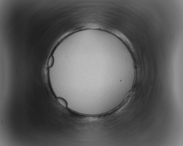 X0000087521190200705251633