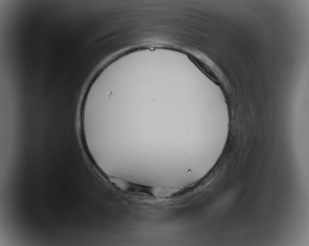 X0000087521191200705251633