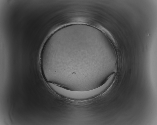 X0000087521192200705251633