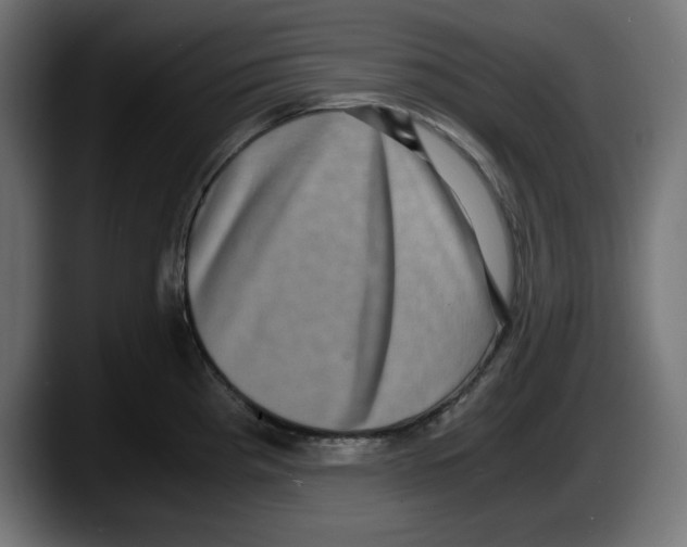 X0000087521193200705251633