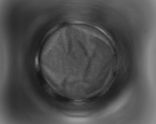 X0000087521198200705251633