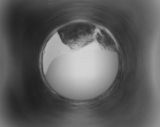 X0000087521199200705251633