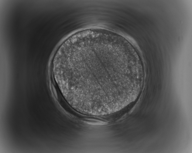 X0000087521200200705251633