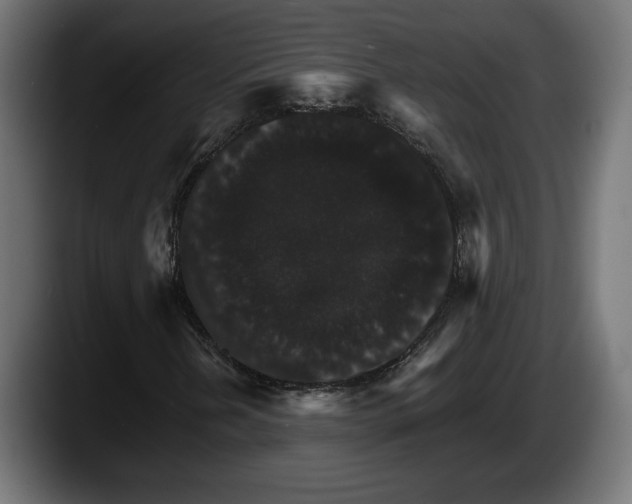 X0000087521202200705251632