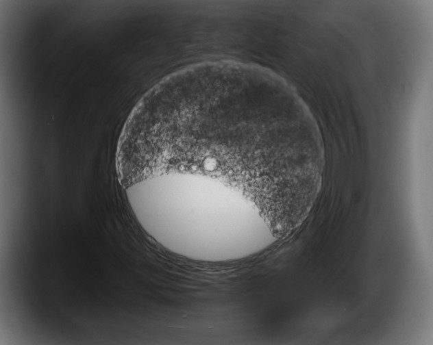 X0000087521203200705251632