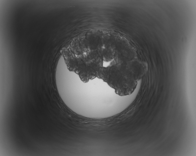 X0000087521204200705251632