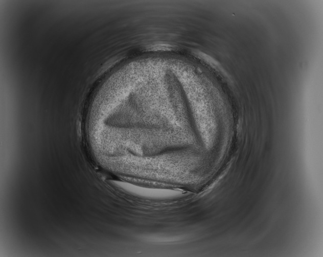 X0000087521209200705251632