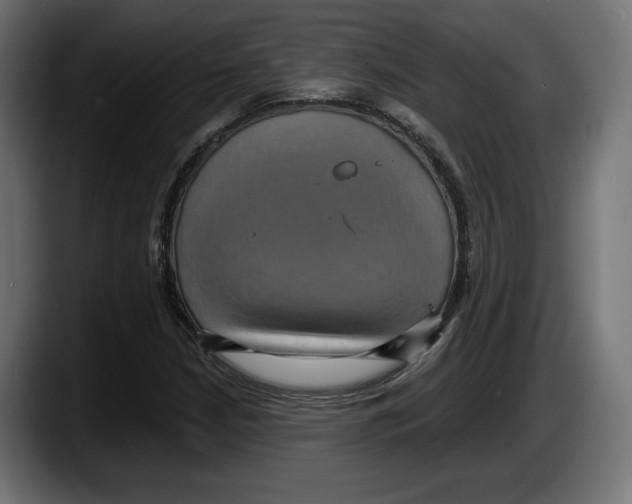 X0000087521210200705251632