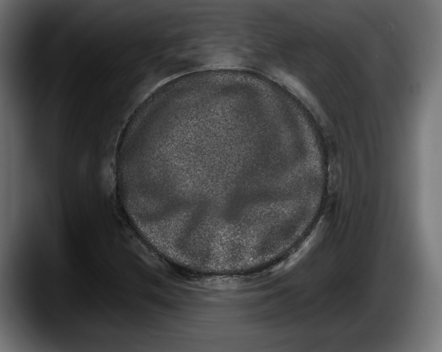 X0000087521212200705251632