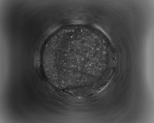 X0000087521213200705251632