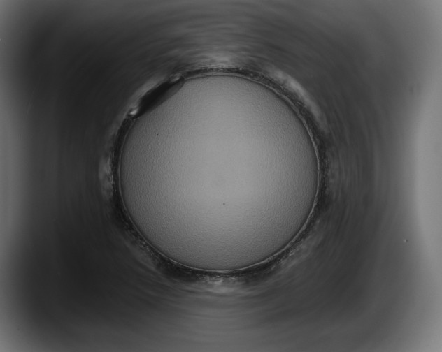 X0000087521218200705251632