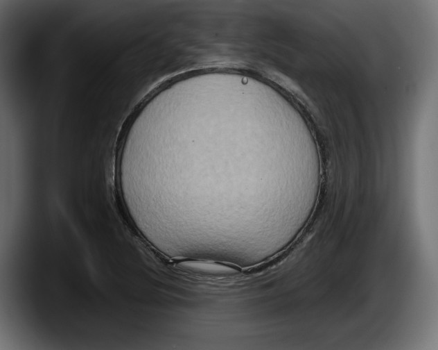 X0000087521220200705251632