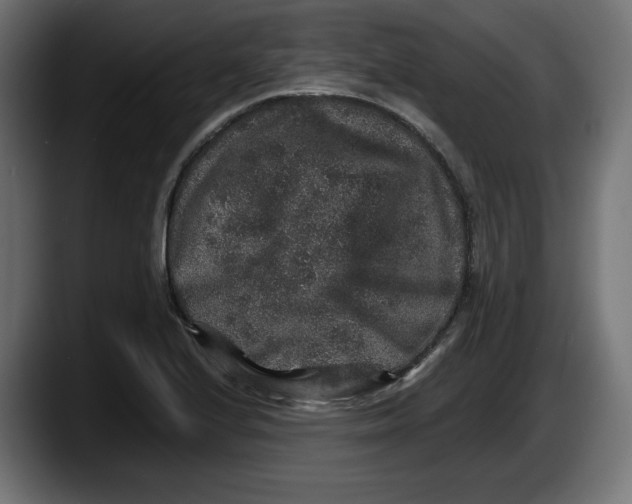 X0000087521224200705251633