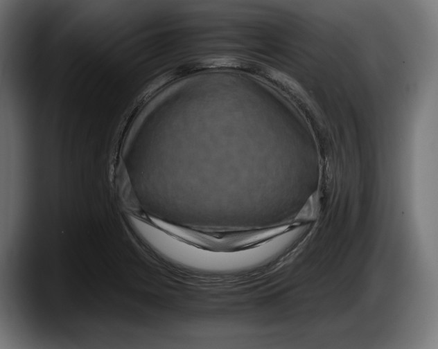 X0000087521225200705251633